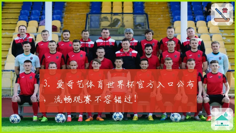 3. 爱奇艺体育世界杯官方入口公布,流畅观赛不容错过!